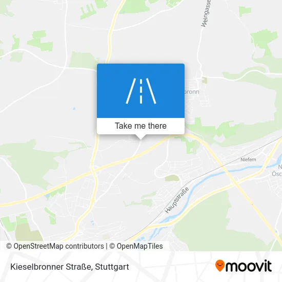 Карта Kieselbronner Straße