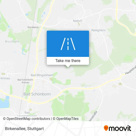 Карта Birkenallee