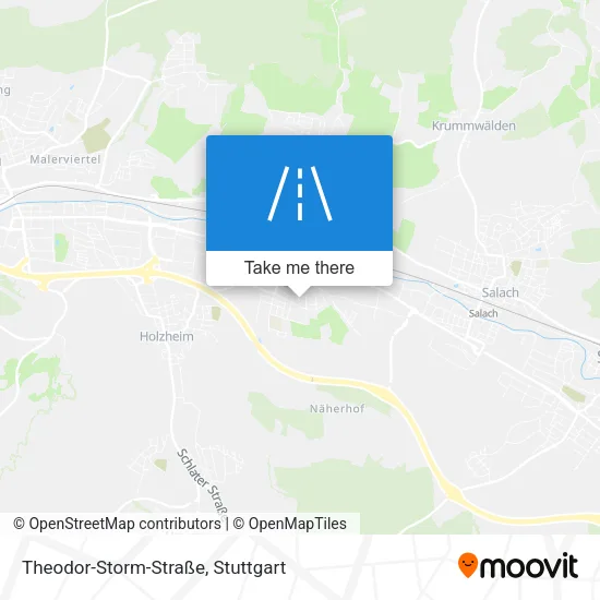 Карта Theodor-Storm-Straße