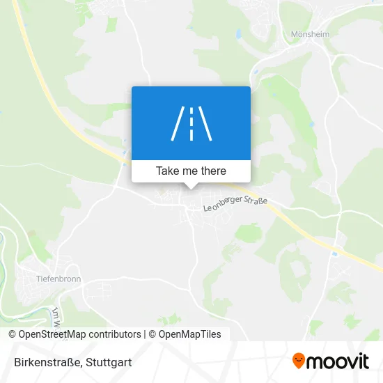Карта Birkenstraße