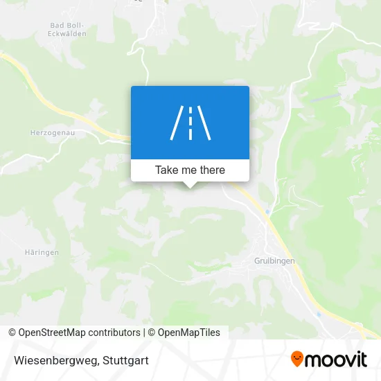 Карта Wiesenbergweg