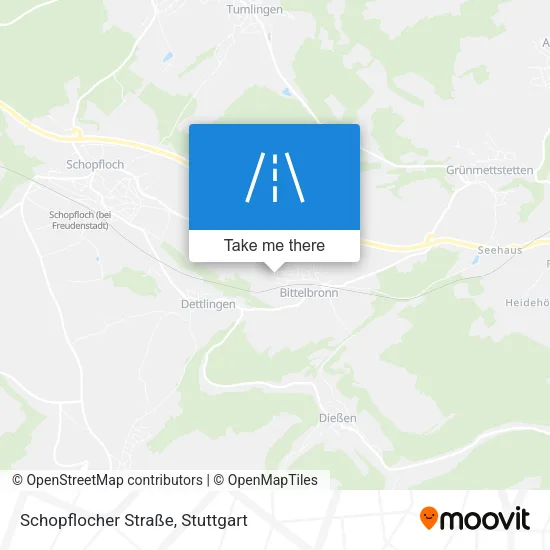 Карта Schopflocher Straße