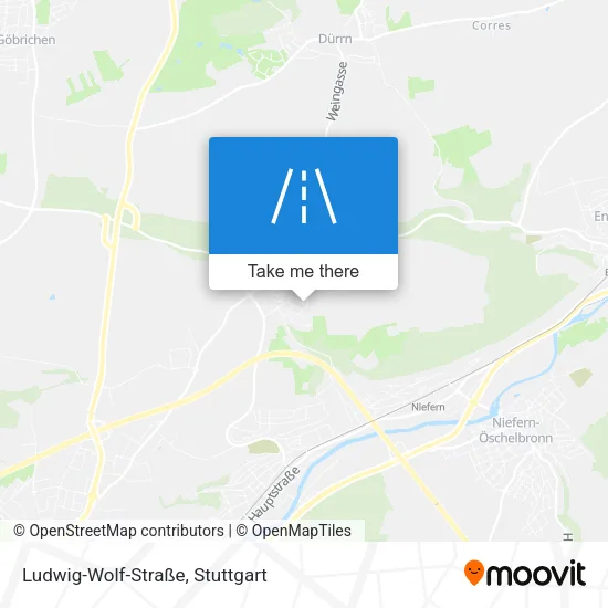 Ludwig-Wolf-Straße map