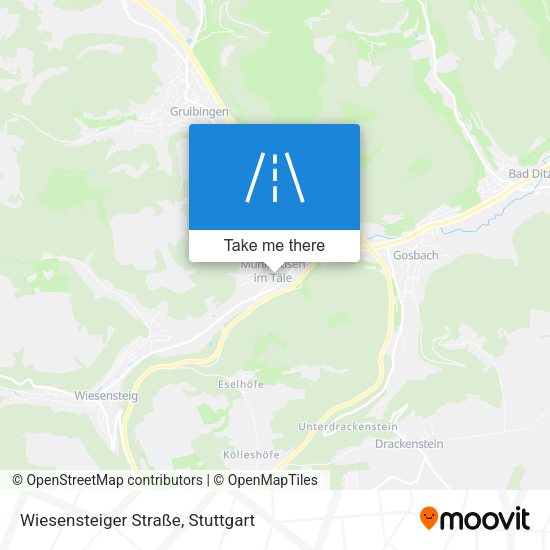 Wiesensteiger Straße map