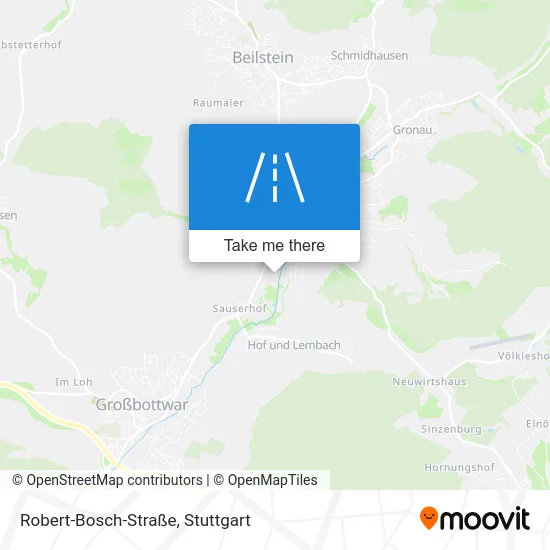 Карта Robert-Bosch-Straße