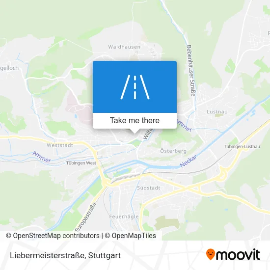 Карта Liebermeisterstraße