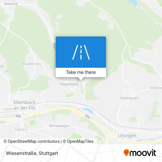 Карта Wiesenstraße