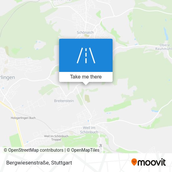 Bergwiesenstraße map