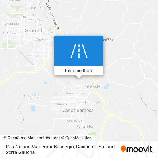 Rua Nelson Valdemar Bassegio map