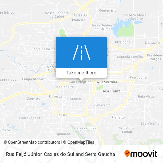 Rua Feijó Júnior map