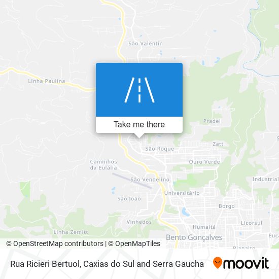 Rua Ricieri Bertuol map