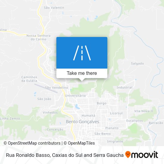 Rua Ronaldo Basso map