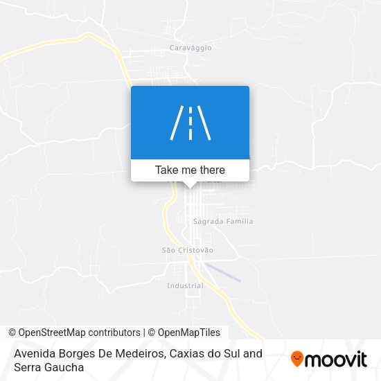 Avenida Borges De Medeiros map