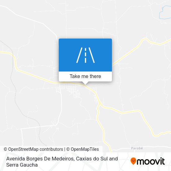 Avenida Borges De Medeiros map