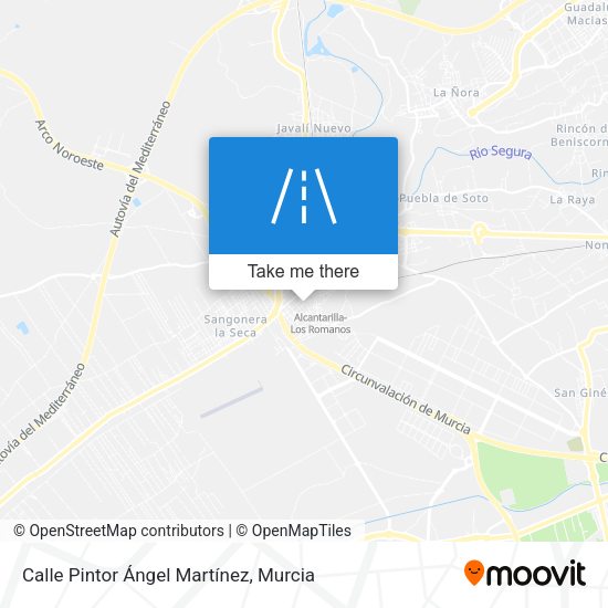 Calle Pintor Ángel Martínez map