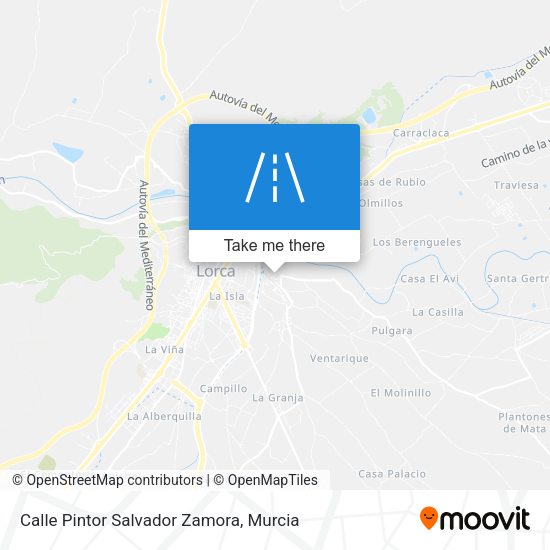 Calle Pintor Salvador Zamora map