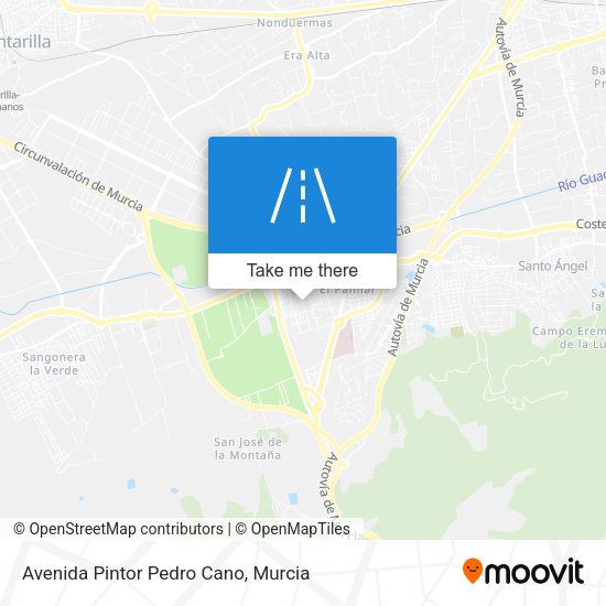 Avenida Pintor Pedro Cano map