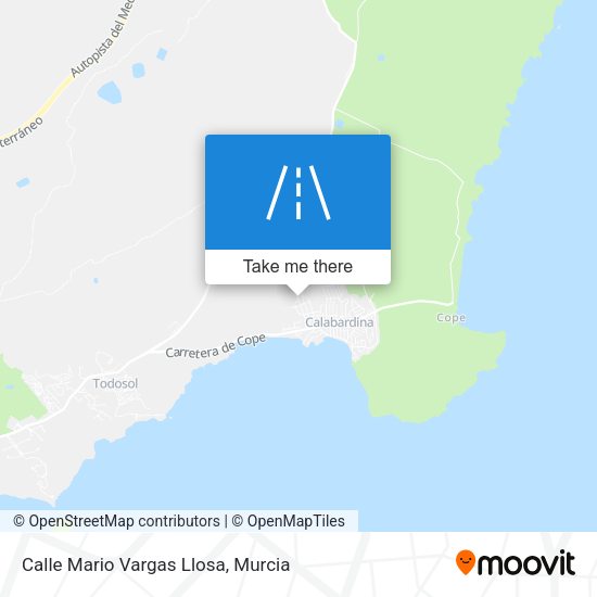 Calle Mario Vargas Llosa map
