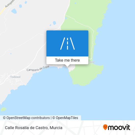 Calle Rosalía de Castro map