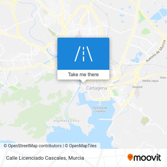 Calle Licenciado Cascales map
