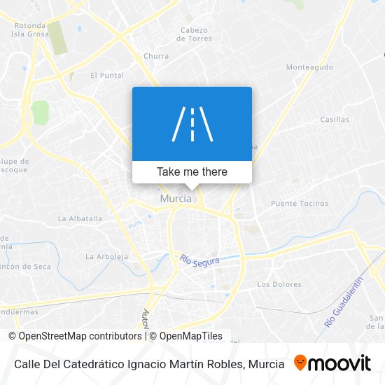 Calle Del Catedrático Ignacio Martín Robles map