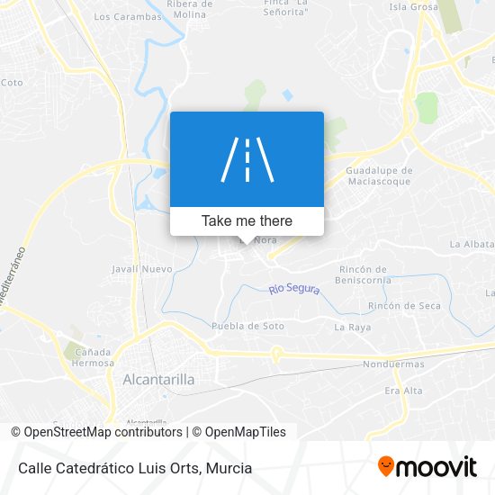Calle Catedrático Luis Orts map
