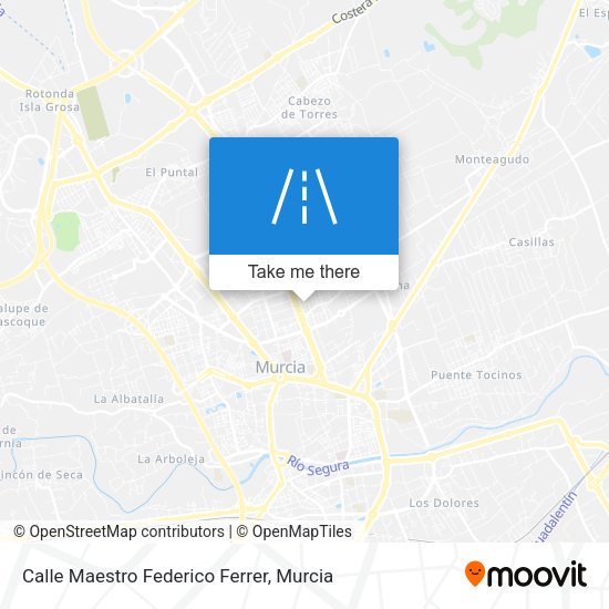 Calle Maestro Federico Ferrer map