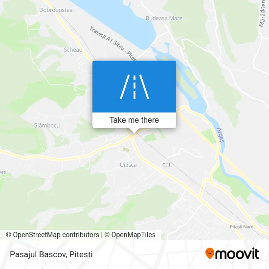 Pasajul Bascov map