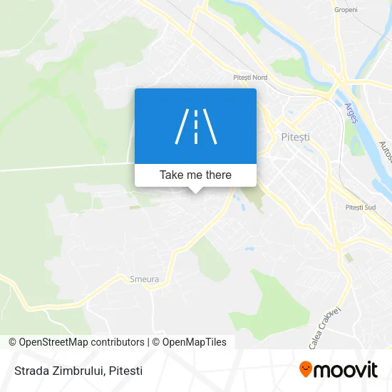 Strada Zimbrului map