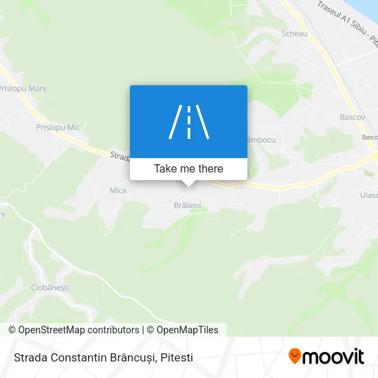 Strada Constantin Brâncuși map