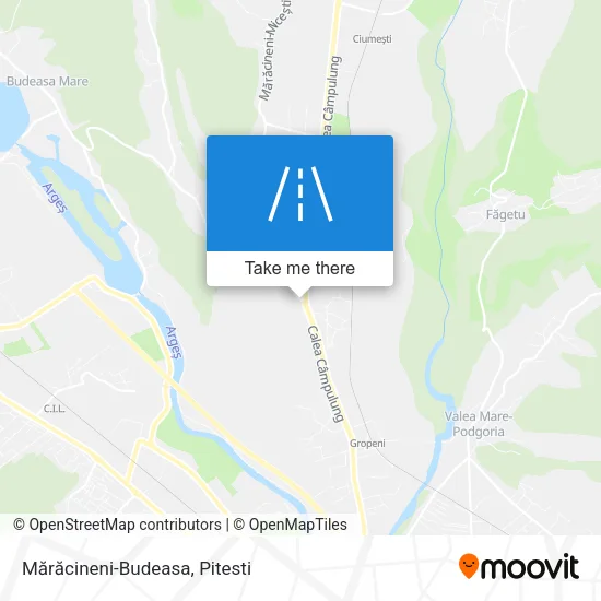 Mărăcineni-Budeasa map