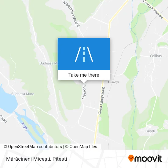 Mărăcineni-Micești map