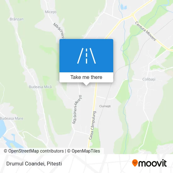 Drumul Coandei map