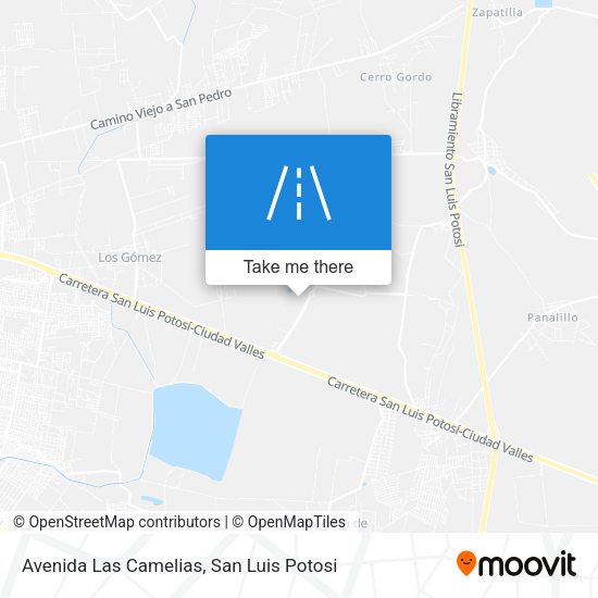 Mapa de Avenida Las Camelias