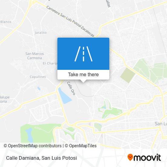 Calle Damiana map