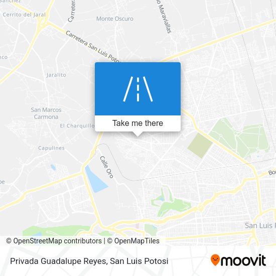 Privada Guadalupe Reyes map