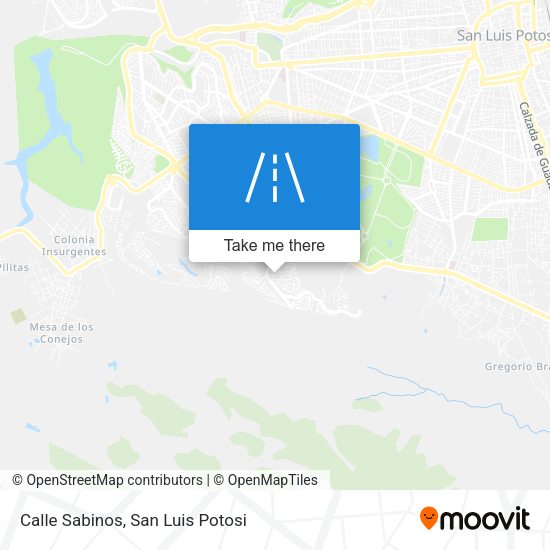Calle Sabinos map