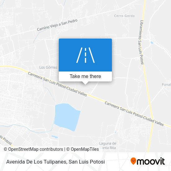 Avenida De Los Tulipanes map