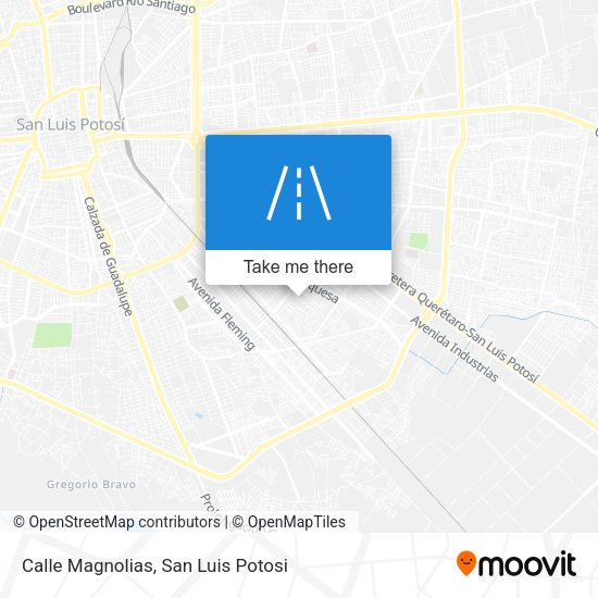 Calle Magnolias map