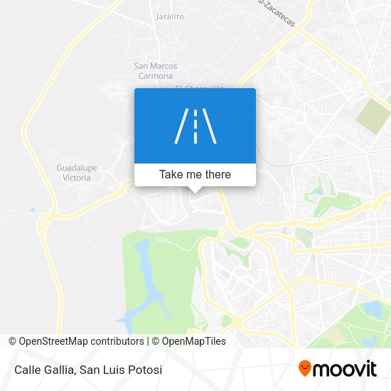 Calle Gallia map