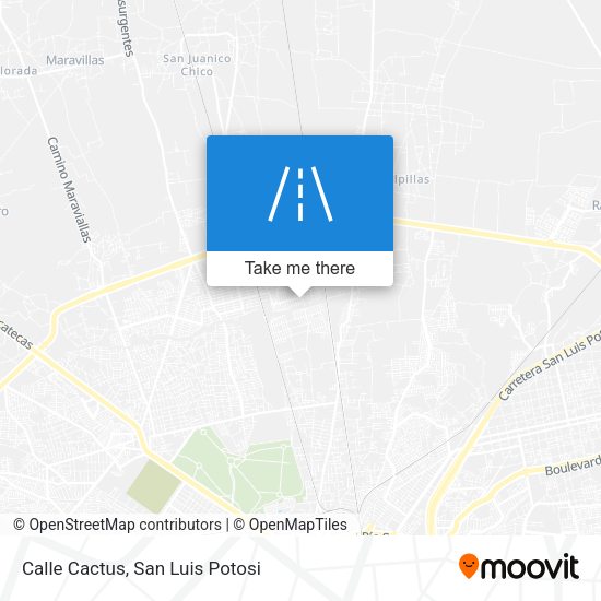 Calle Cactus map