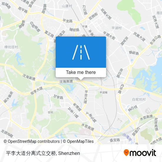 平李大道分离式立交桥 map