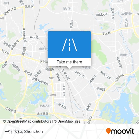 平湖大街 map