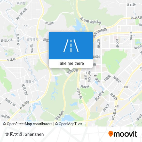 龙凤大道 map