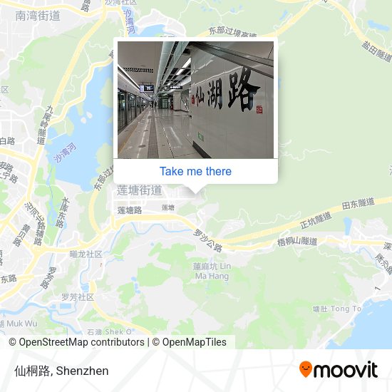 仙桐路 map
