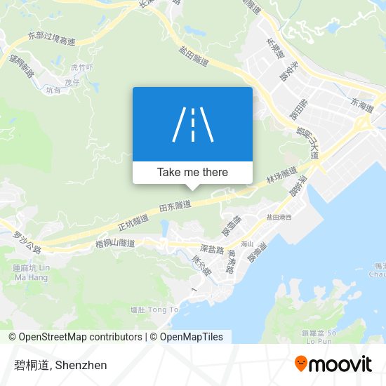 碧桐道 map