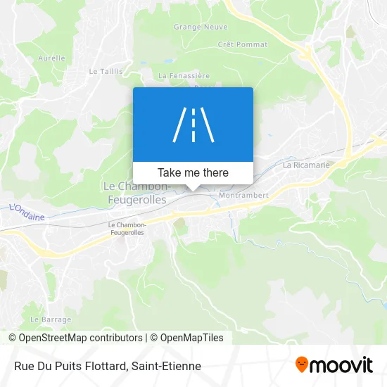 Rue Du Puits Flottard map