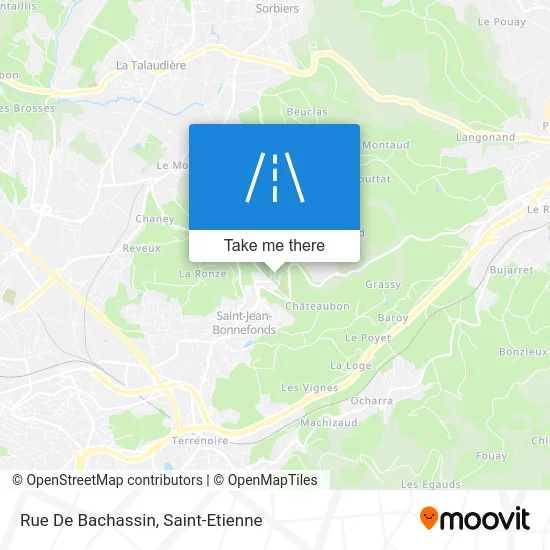 Rue De Bachassin map