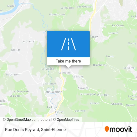 Rue Denis Peyrard map