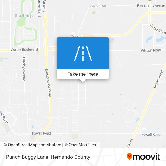 Mapa de Punch Buggy Lane